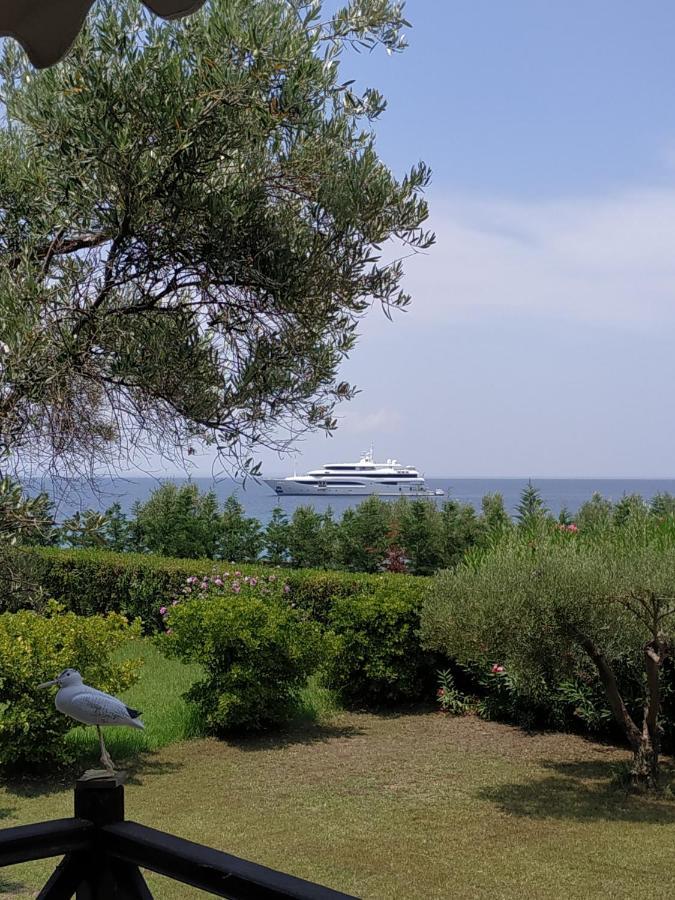 Sea Art House Βίλα Καλογριά Εξωτερικό φωτογραφία